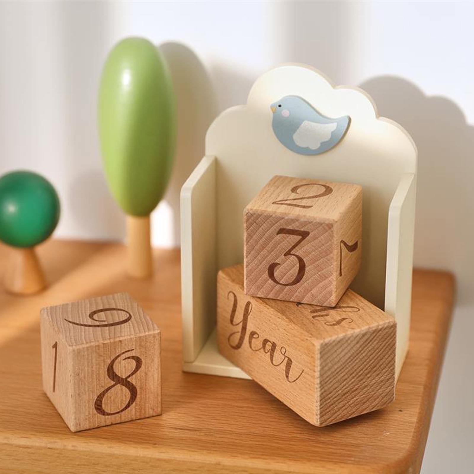 Baby-Meilenstein aus Holz, Alt – Baby Nursery Age Bewertung und Preis